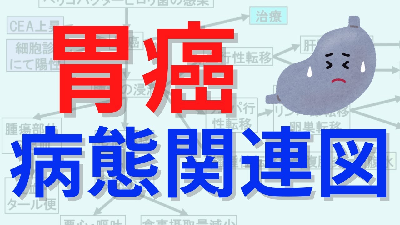 胃癌の病態関連図 - YouTube