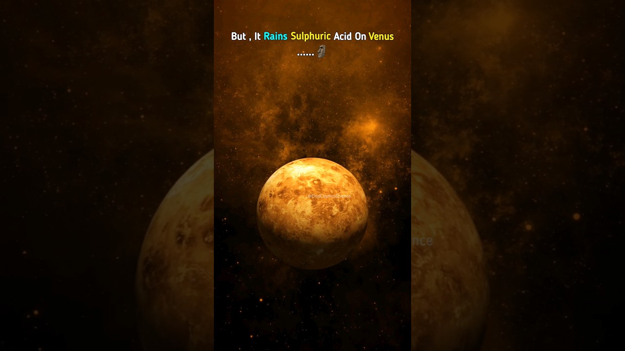 Earth's Rain VS Venus Rain 