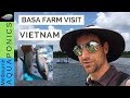 Fish farming Vietnam