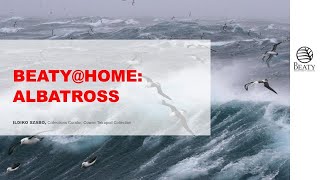 Beatyhome Albatross