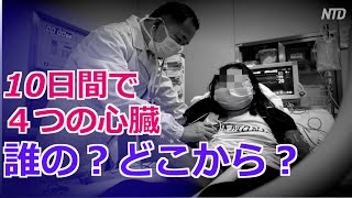 10日間で４つの心臓 中国のオンデマンド臓器移植【禁聞】