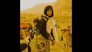 Nabeduygusal Kürtçe Whatsapp Durum Videoları Için Abone Olmayı Unutmayın Lütfen