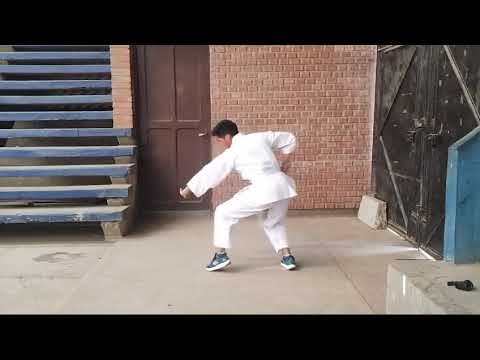 Chang Quan Basico 4.      Wushu Shaolin (Shifu Sal)