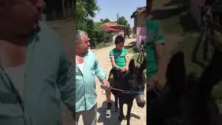 Erbaalı Hamdi Abi Mıstır Dört Nal Ile Çocukları Gezdiriyor