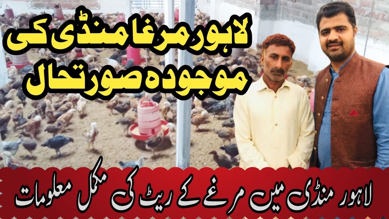 Lahore Mandi Ka mjooda Rate | Bagga Bhai Ka Mandi k Rate pr Velogs | Investment |