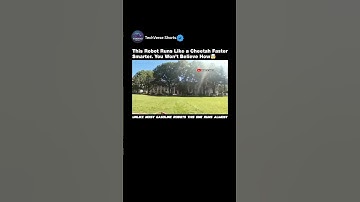 MIT’s Cheetah Robot Runs & Jumps Like the Real Predator🤯#shorts#robot