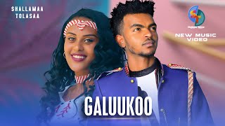 Shallamaa Tolasaa GALUUKOO New Ethiopian Oromo  2024
