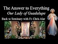 Explaining the Faith - Marian Apparitions: Guadalupe: the Answer to Everything