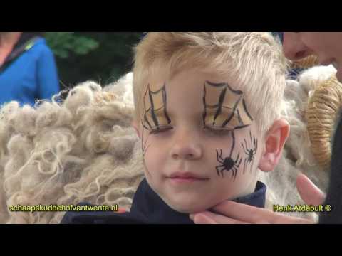 Schaapscheerdersdag bij Schaapskudde Hof van Twente op de Borkeld 11 06 2016
