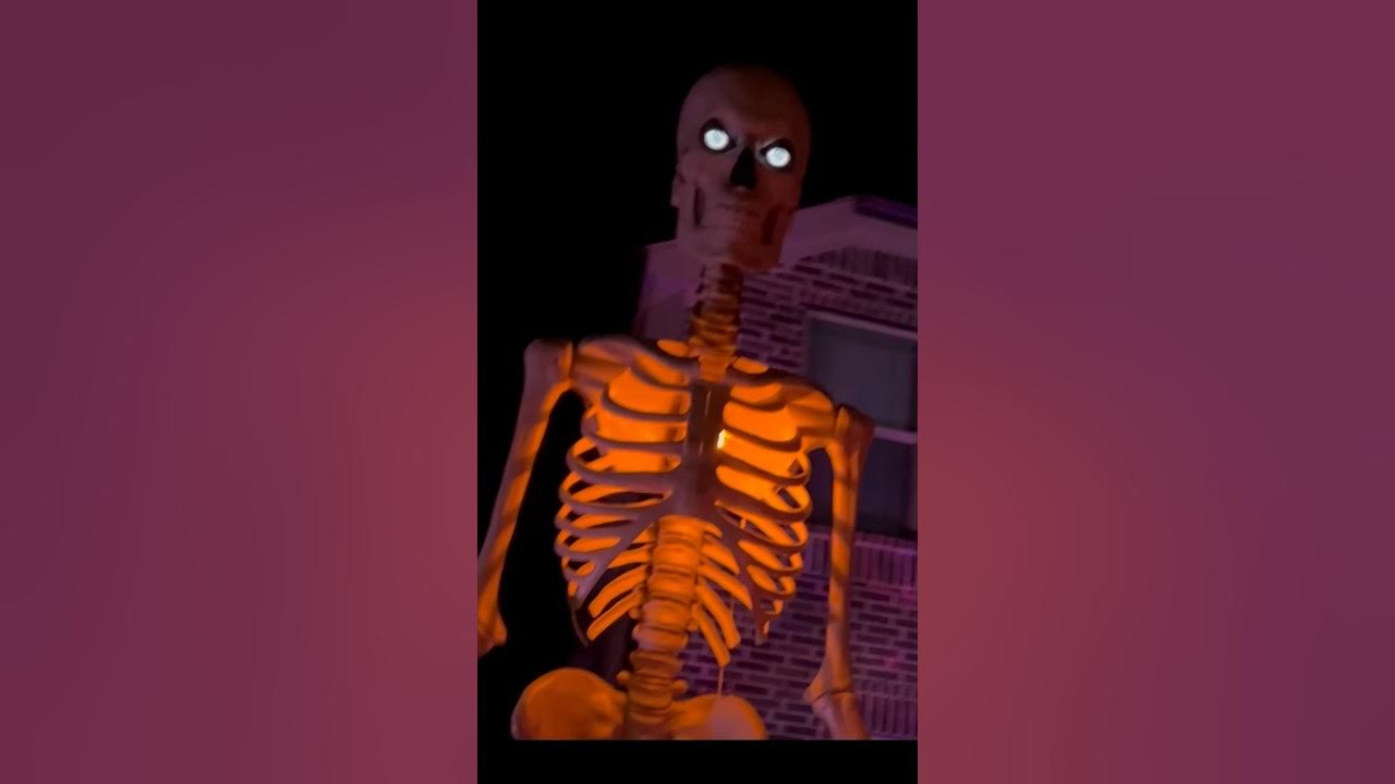 Baby skelly has arrived! Home Depot made a baby skeleton replica of the