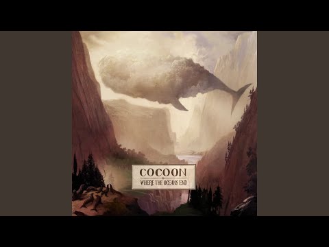 Comets