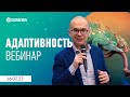 Как адаптивность может повысить эффективность вашей компании