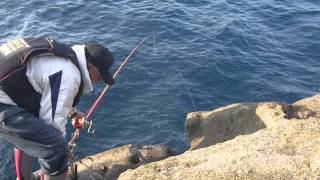 舞い込む石鯛竿シリーズ 2012.10.27「釣果 100枚目」... リベンジ二八 ...