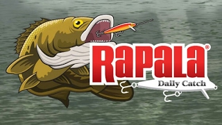 Rapala Fishing Gameplay (Android) screenshot 5