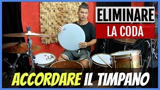 Il Timpano Mi Fa Impazzire Accordare La Batteria