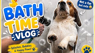 Doodle’s first bath with Anaya | Stepwise bath time vlog |dog and baby