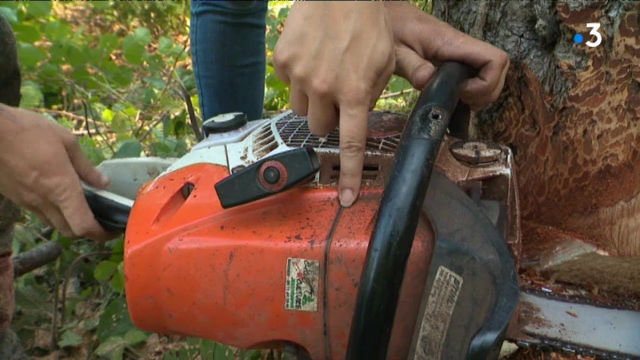 J'ai testé pour vous le métier de bûcheron