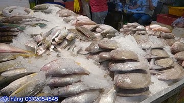 Chợ cá quá tuần vắng mùa tôm càng vô nhiều rẻ