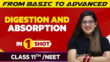 Digestion and Absorption in One Shot - NEET/Class 11th Boards