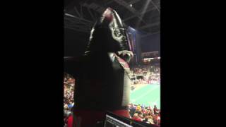 Sharks Slideshow