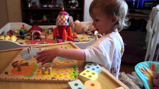 Bigjigs Toys Safari Animal Sorting Board Puzzle (#BJ443) screenshot 4