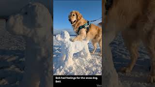 My golden retriever Bob made a friend. Bob had feelings for the snow dog.  Better not to ask