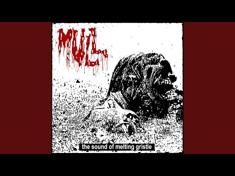 The Sound Of Melting Gristle artwork