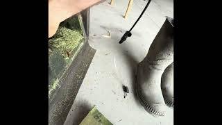 Cub Cadet SC 500 Z speed cable replacement