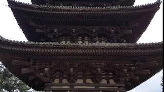 20150620 Kofukuji Nara
