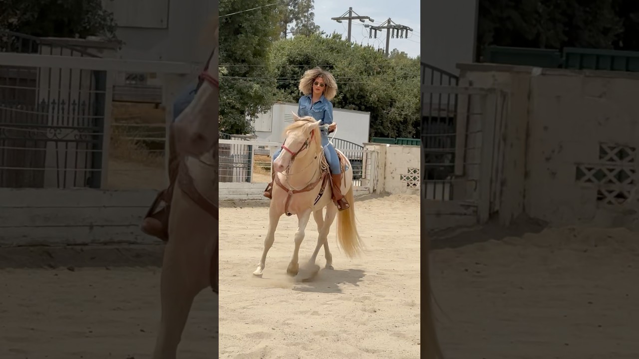 Riding a stallion for the first time 🐎 in love! 😍 