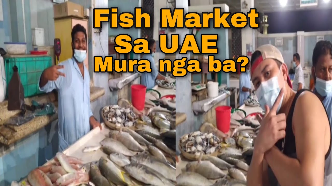 Fish market in Fujairah UAE. YouTube