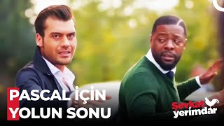 Evleneceğine, Öl Daha İyi Pascal - Şevkat Yerimdar