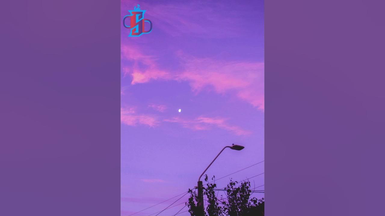 I'm sorry I'm here for someone else lyrics~ Benson Boone (traducción en español/français)