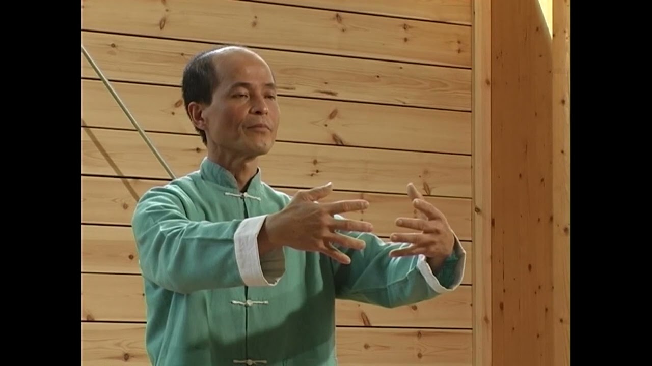 Qi Gong de l'arbre - Zhan Zhuang