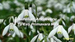 Aurelian Andreescu - Tu Esti Primavara Mea (DeeJayOvi ReDrum)