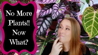 No More Plants!! But Now What?! by Plants Pots & What-Nots 4,034 views 2 years ago 29 minutes