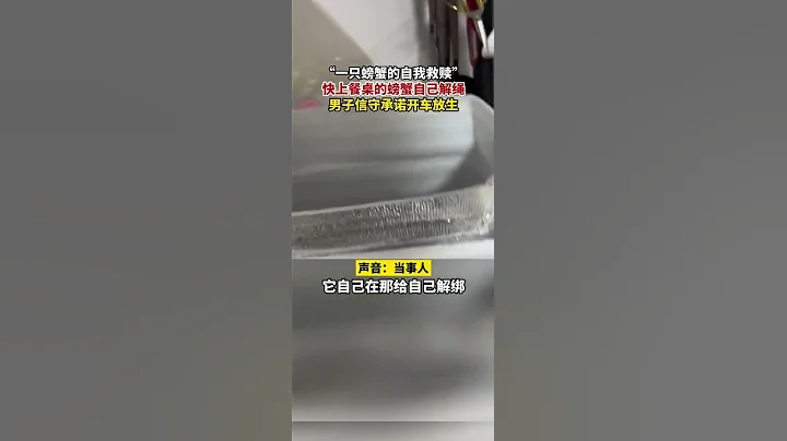 山东济南，快上餐桌的螃蟹自己解绳后男子信守承诺开车放生 一只螃蟹的自我救赎 - 天天要闻