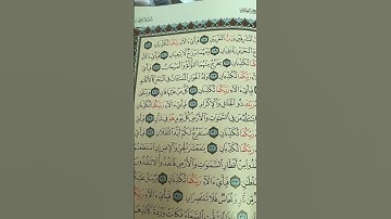 سورة الرحمن اية (١٧-٢٨)