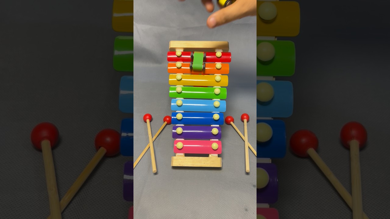 Colorful Xylophone Ball Drop | Relaxing Satisfying Sound & Visuals | DMS SatisfyMe