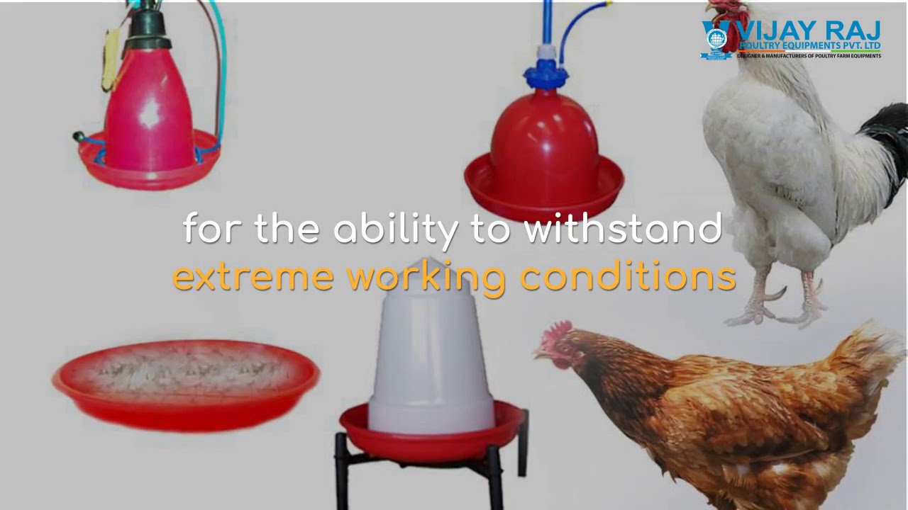 Latest Technology Poultry Farm In India National Poultry Equipment