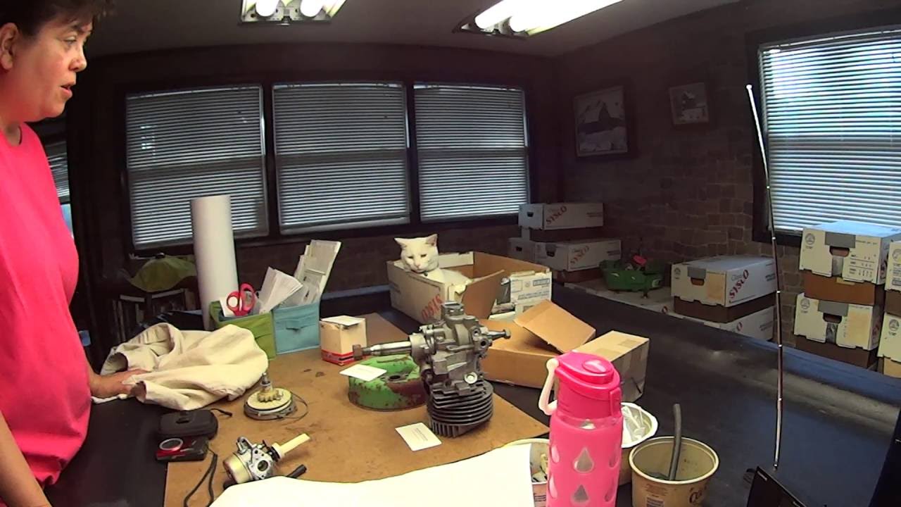 cat lovers club instagram Lawn Boy Cat update and shipping of parts. He is our Little LB Boy!!