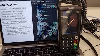 Visa Mastercard payment using JavaScript API screenshot 2