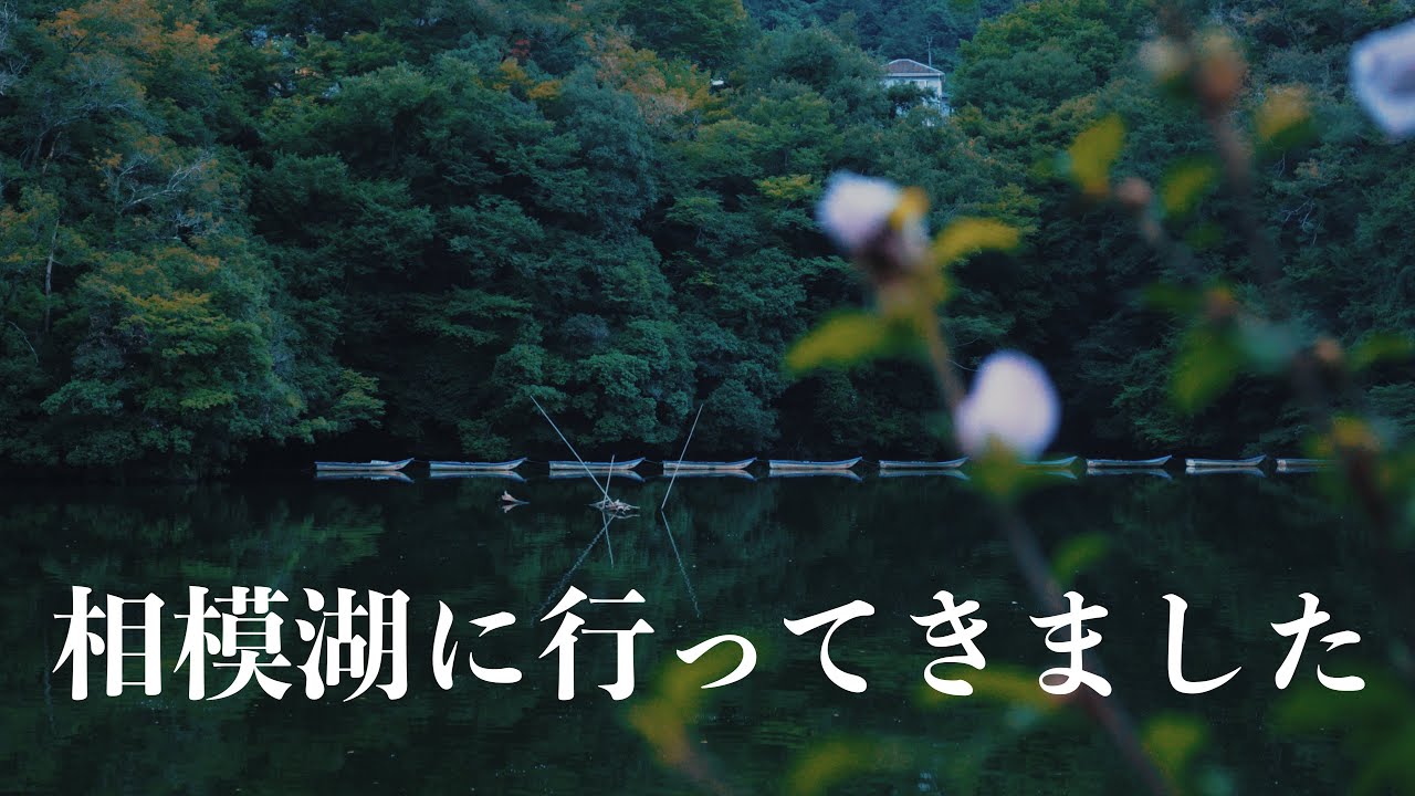 【バス釣り】秋山川でサイトができるって聞いたんです震え声
