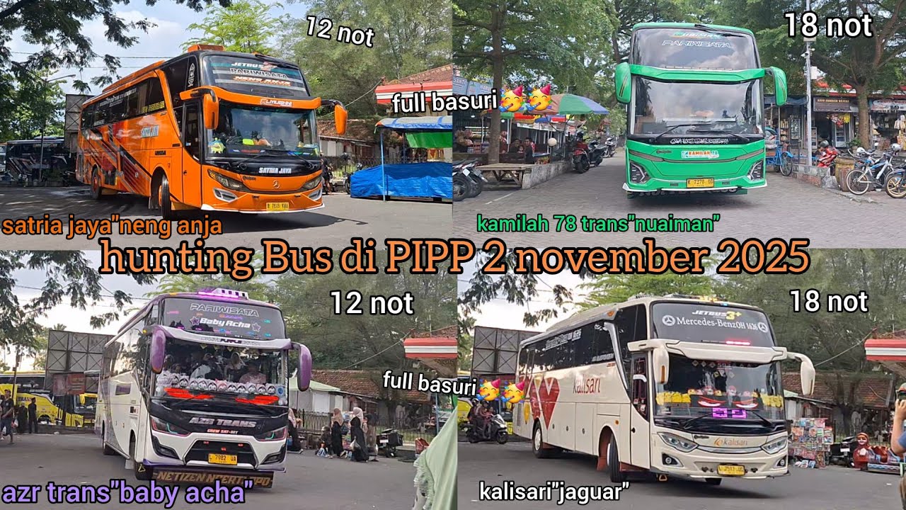 hunting Bus di PIPP 2 november 2025.full basuri!!🥳