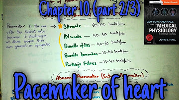 Pacemaker of heart - Chapter 10 part 2 Guyton and hall text book of physiology