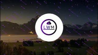 Elektronomia - Summer Vibes [NCS FAN LWM]