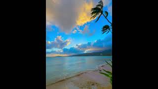 Plumeria Aloha 🌺🌴🌊🌅 #hawaiianisland #paradise #sunset #waves #beach #hawaii #coconuttree