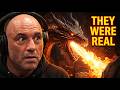 Joe Rogan Reveals Dragon Myths May Actually Be Based on Real Creatures