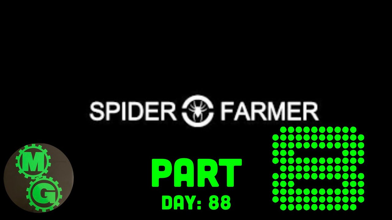 Spider Farmer SF-1000 Update