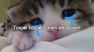 Niloya-tosbik(Speed up+lyrics)
